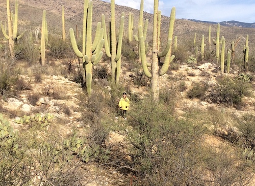 Me standing in the middle of a cactus forest.